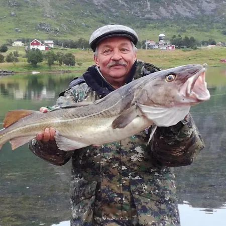 Malnes 营地 Grimstad (Nordland)